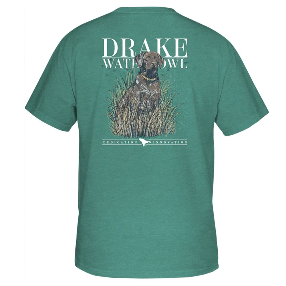 Drake Chocolate Lab S/S T-Shirt