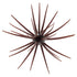 Hideup Coike 13mm Urchin Creature Bait