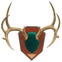 Allen Company Antler Mounting Kit